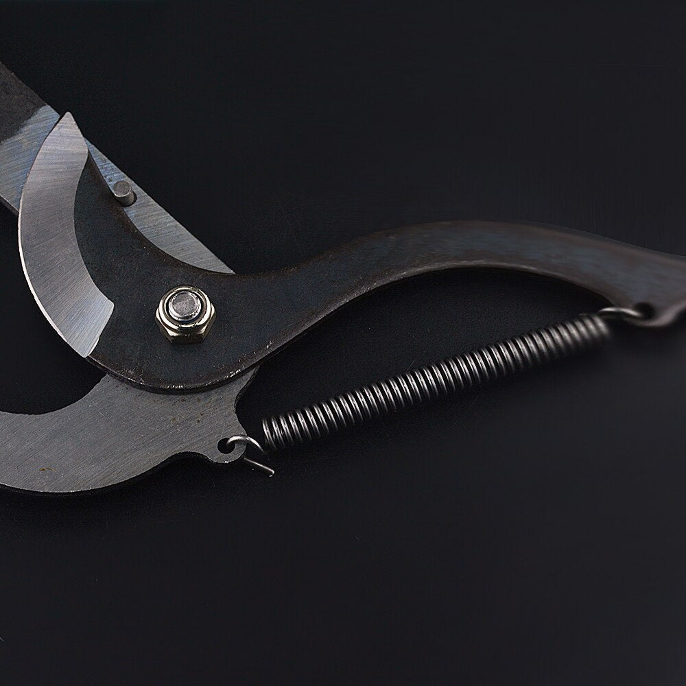 Long-Reach Telescopic Pruner