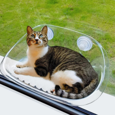 Clear Acrylic Cat Window Perch with Suction Cups
