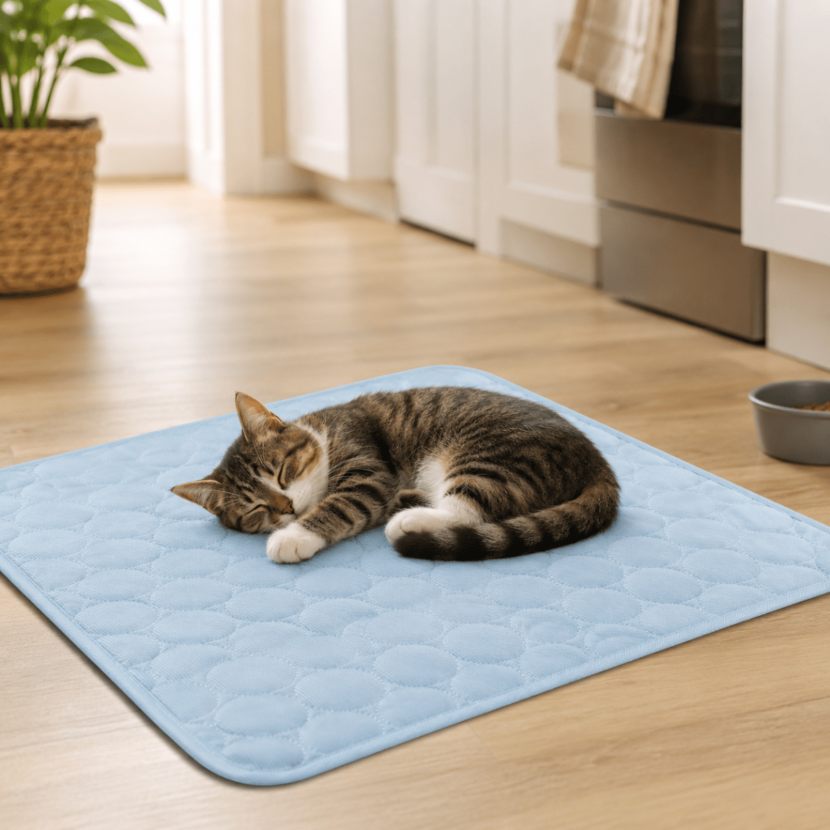 Lit Rafraîchissant pour Chiens et Chats