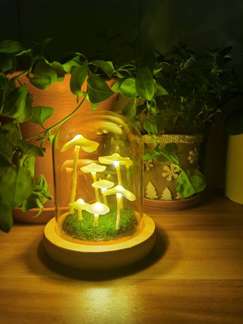 Lampe Champignon à Assembler en Verre et Bois