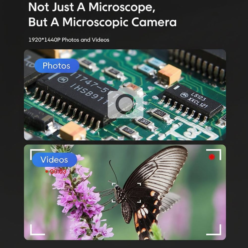Microscope numérique USB 50x à 1600x avec support