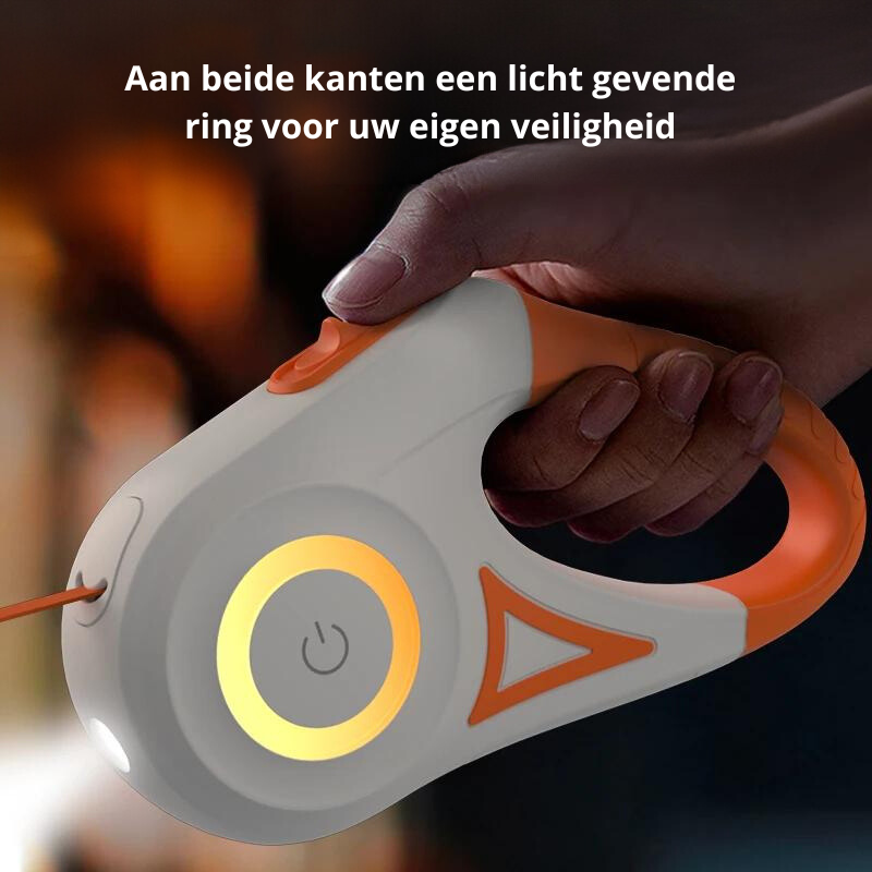 Lumilead Laisse LED pour Chien