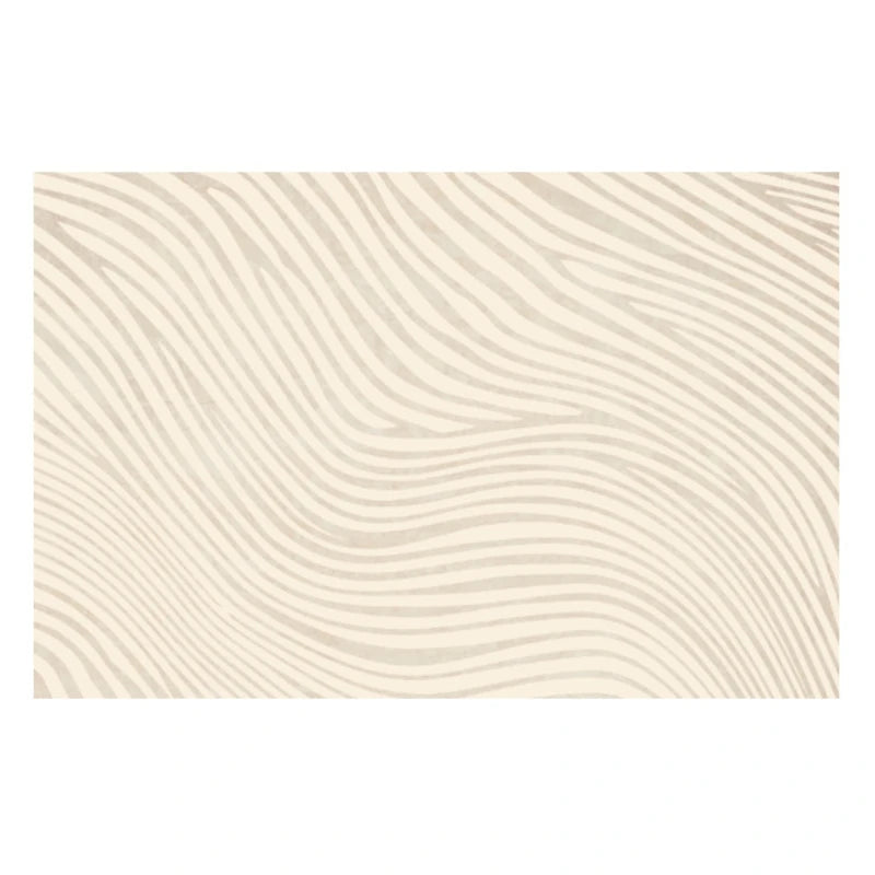 Tapis Salon Zen Texturé Neutre Style Contemporain
