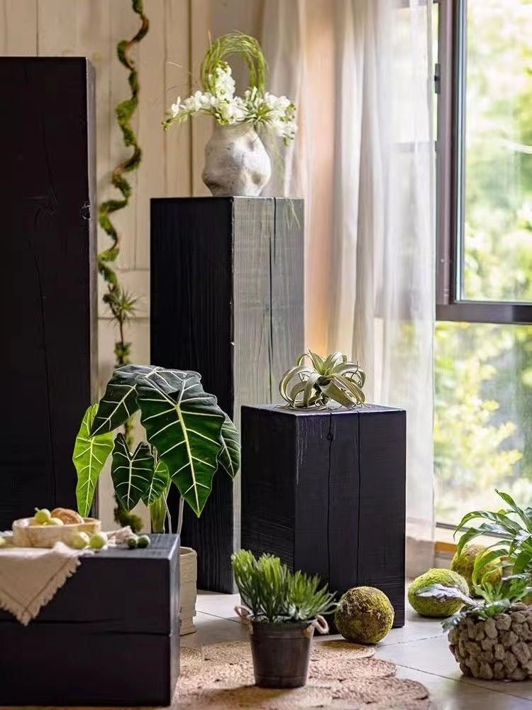 Sculptural Charred Timber Pedestal Stand