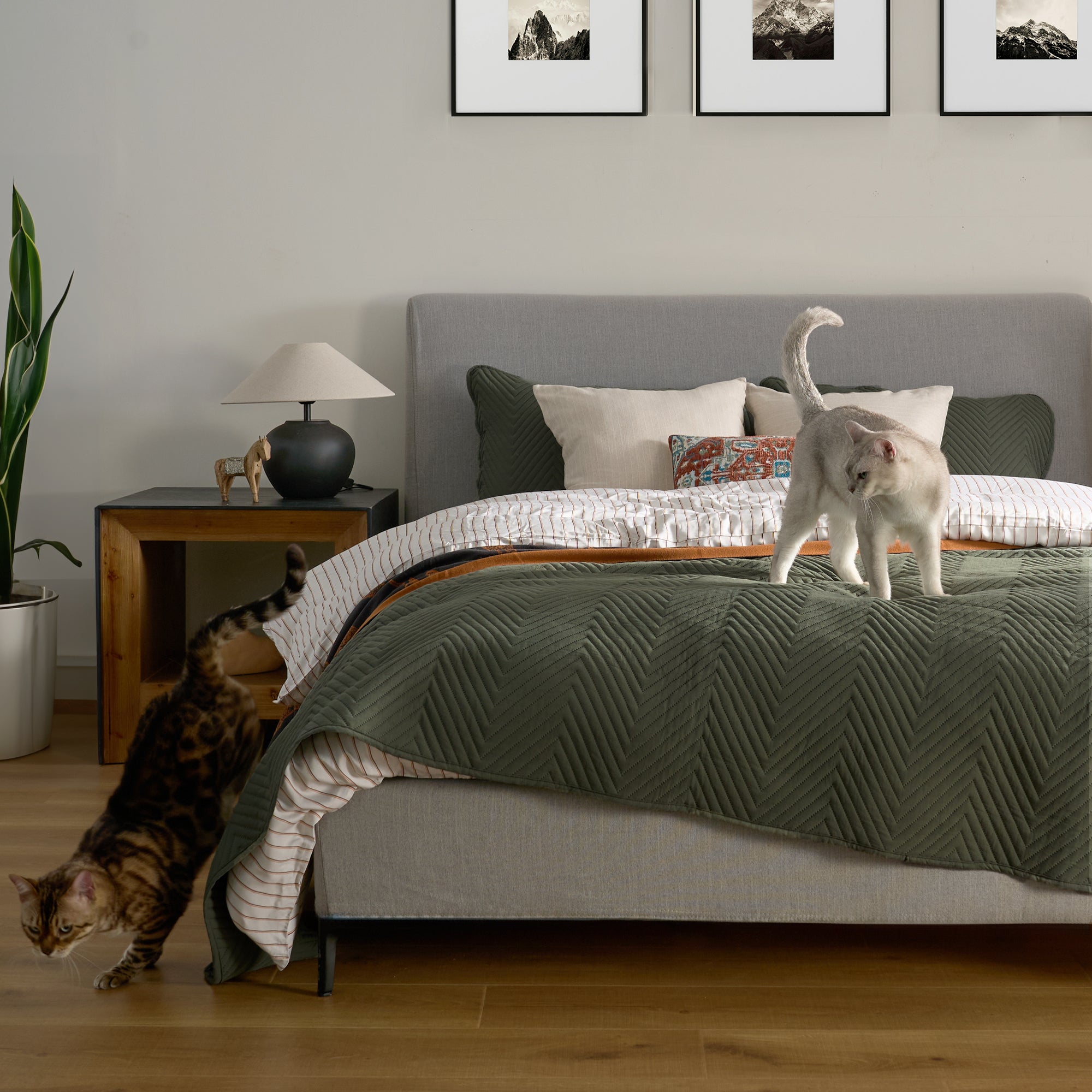 Snag Free Quilt - Pet Friendly