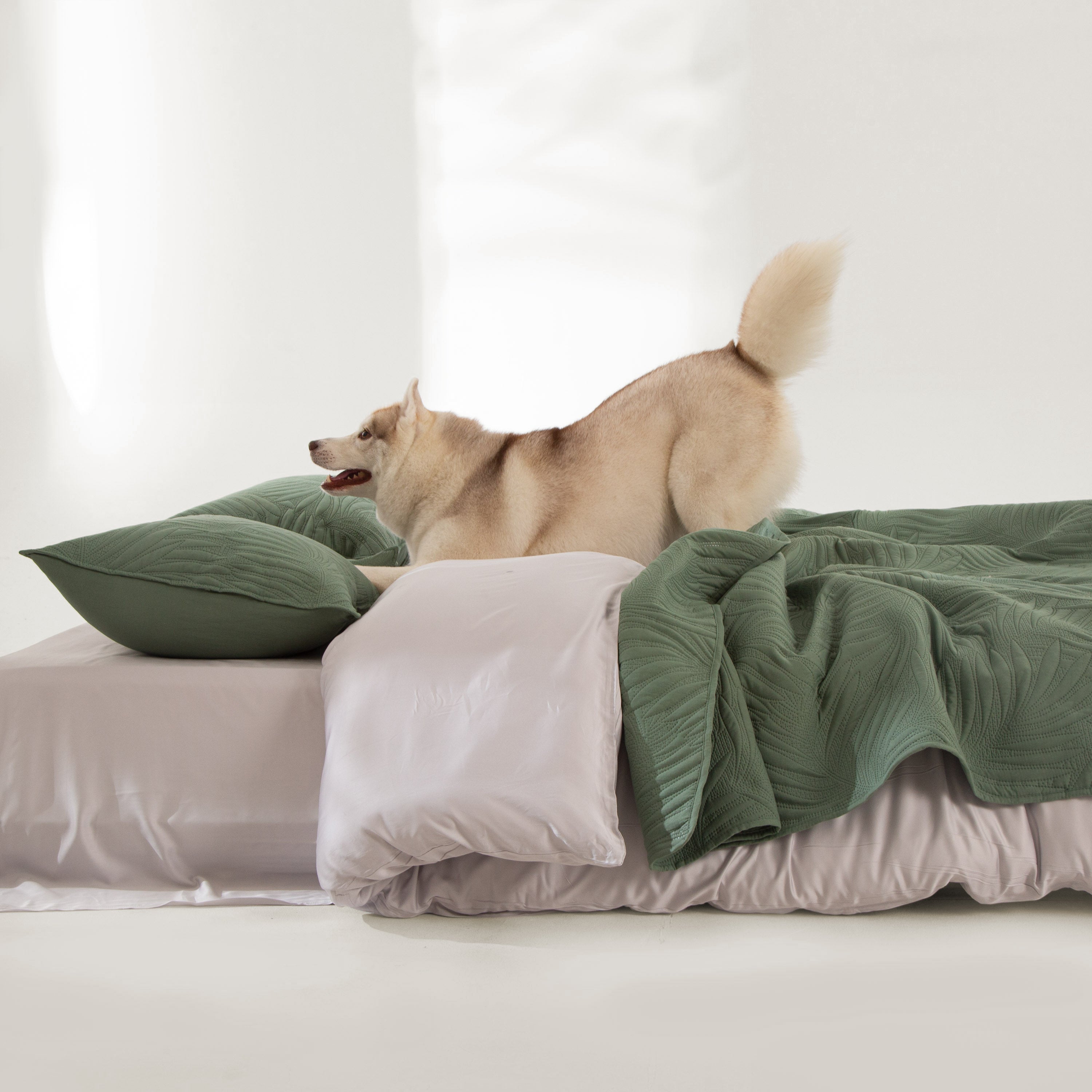 Snag Free Quilt - Pet Friendly