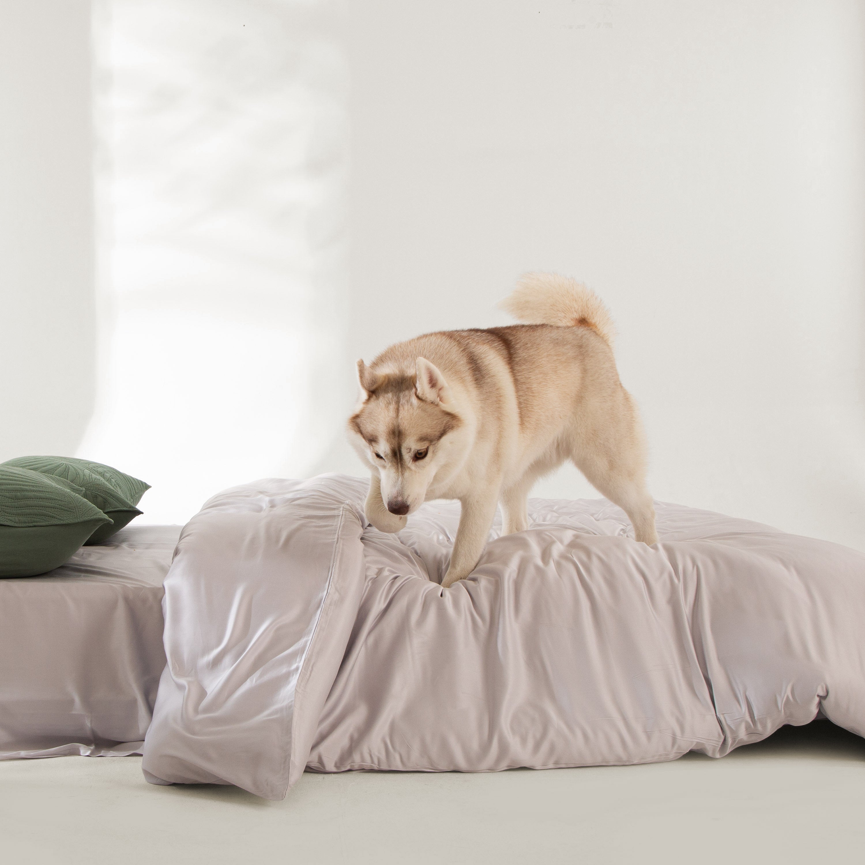 Snag Free Quilt - Pet Friendly
