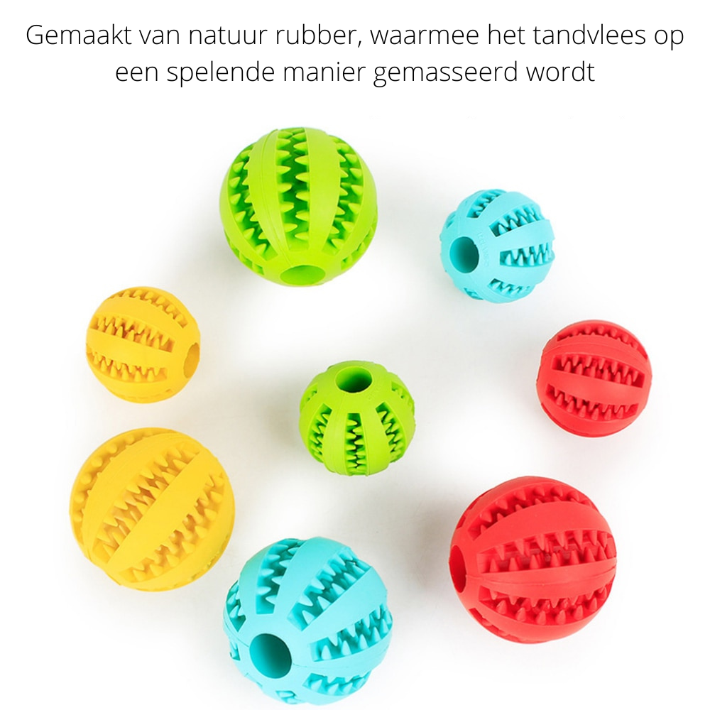 PlayMaster - Balle à Mâcher Interactive pour Chien