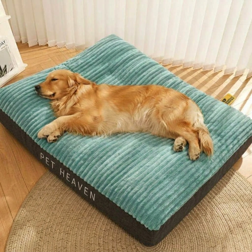 Panier pour chien à rebords, housse déhoussable