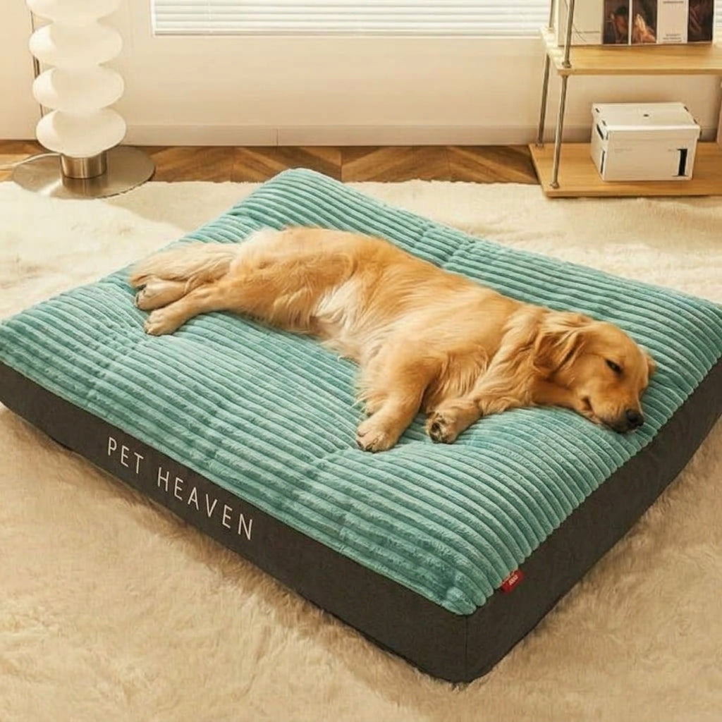 Panier pour chien à rebords, housse déhoussable