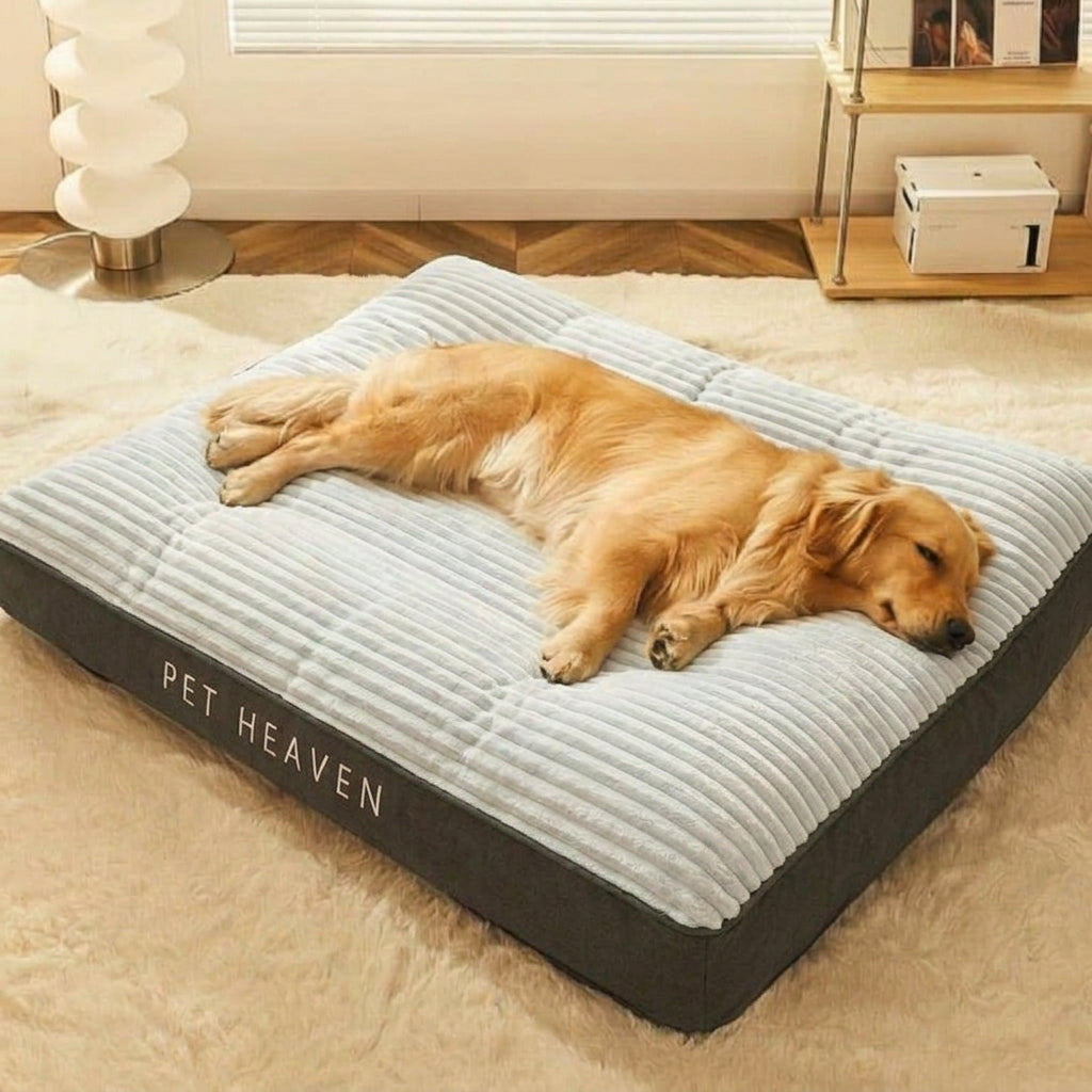 Panier pour chien à rebords, housse déhoussable
