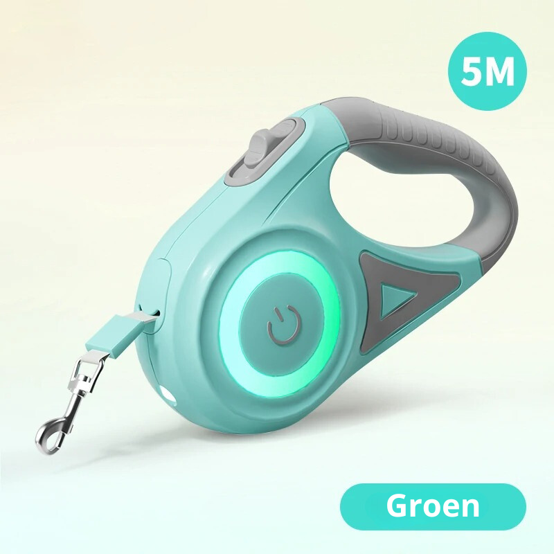 Lumilead Laisse LED pour Chien