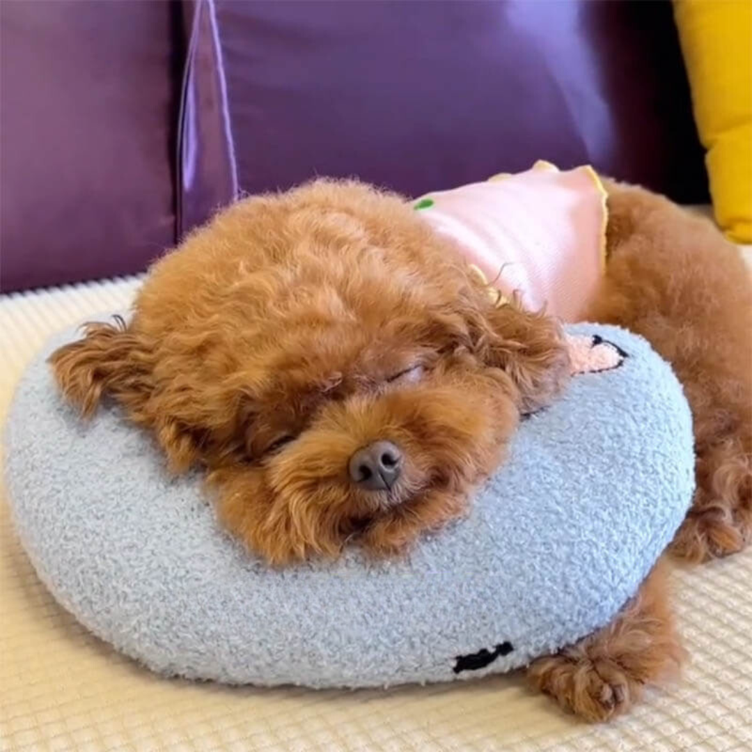 PetEase Luxe - Panier Confort pour Chien