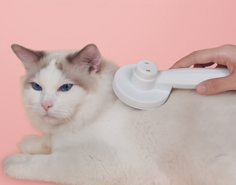 SelfClean - Brosse Autonettoyante pour Chat