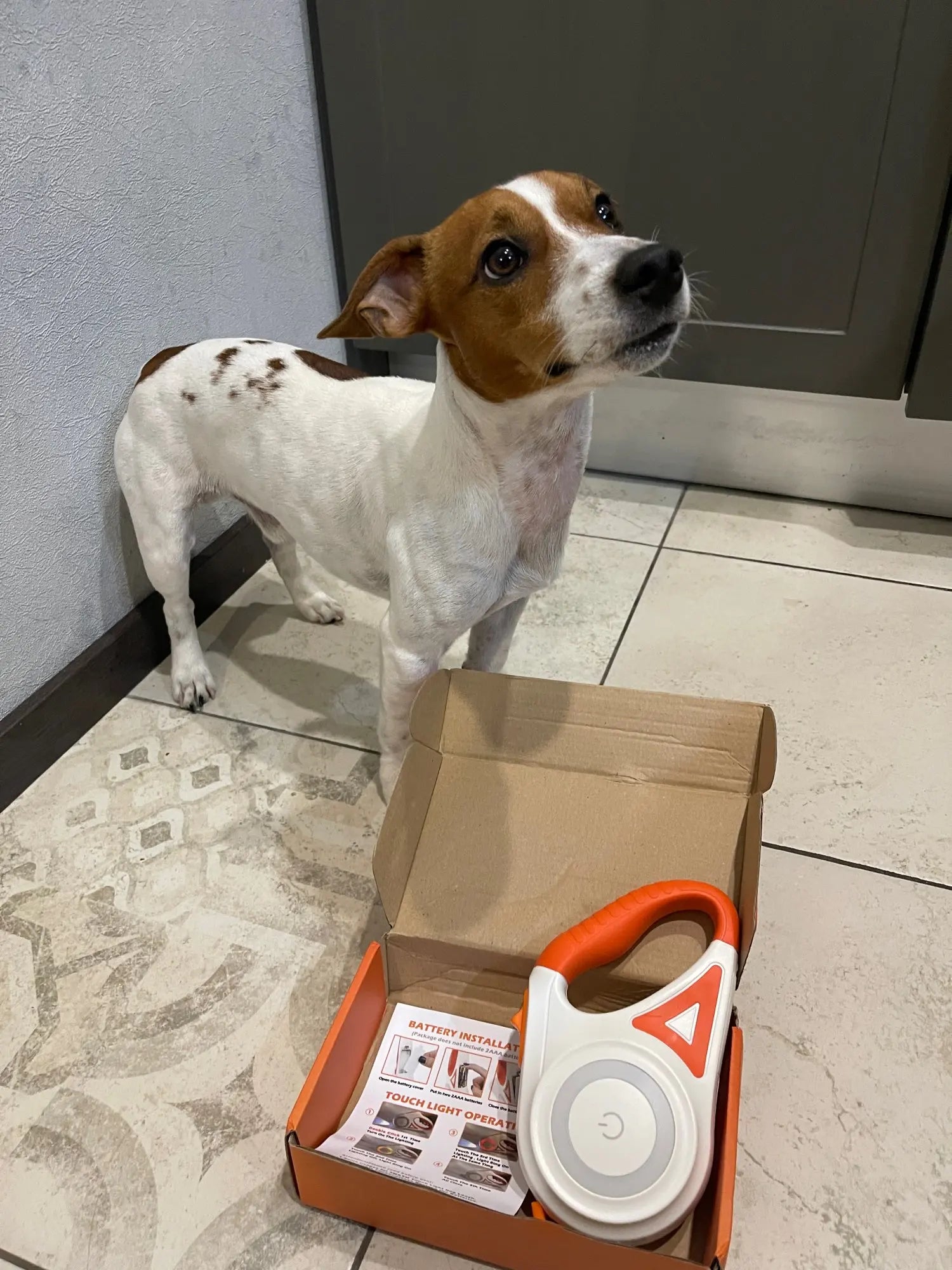 Lumilead Laisse LED pour Chien