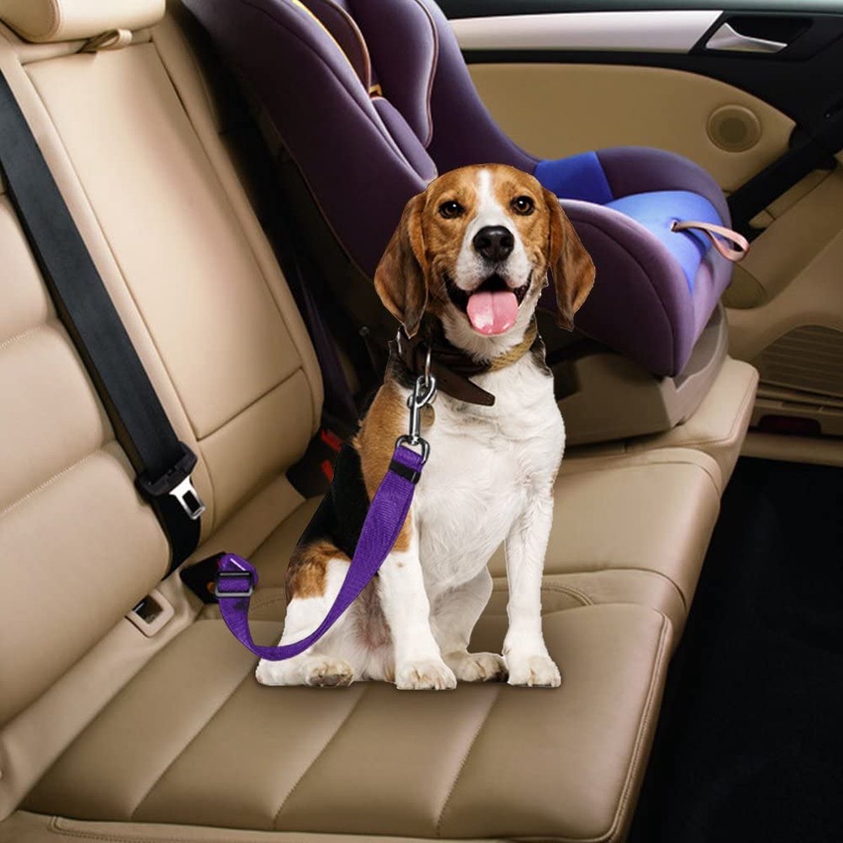 Plushpaw Ceinture de Sécurité Réglable pour Animaux