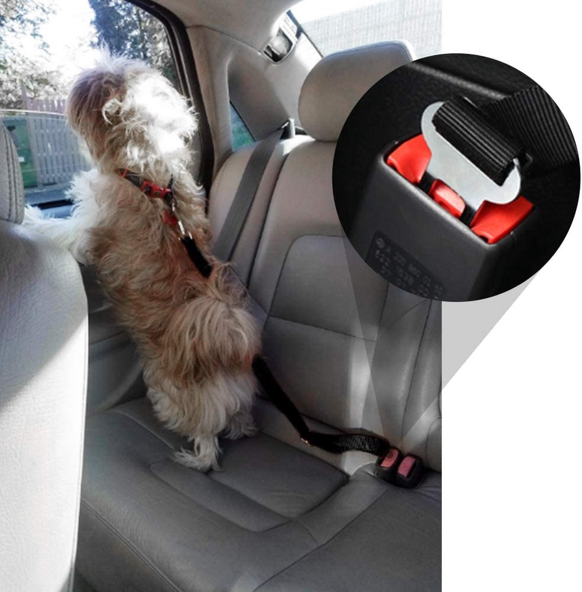 Plushpaw Ceinture de Sécurité Réglable pour Animaux