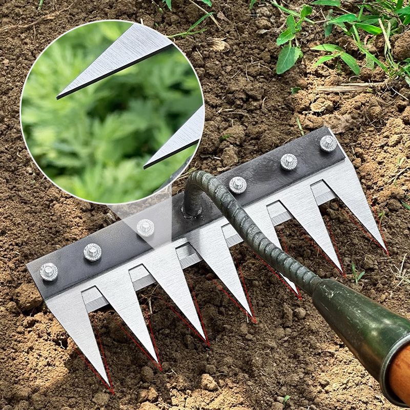 Versatile Lawn Rake with Handle