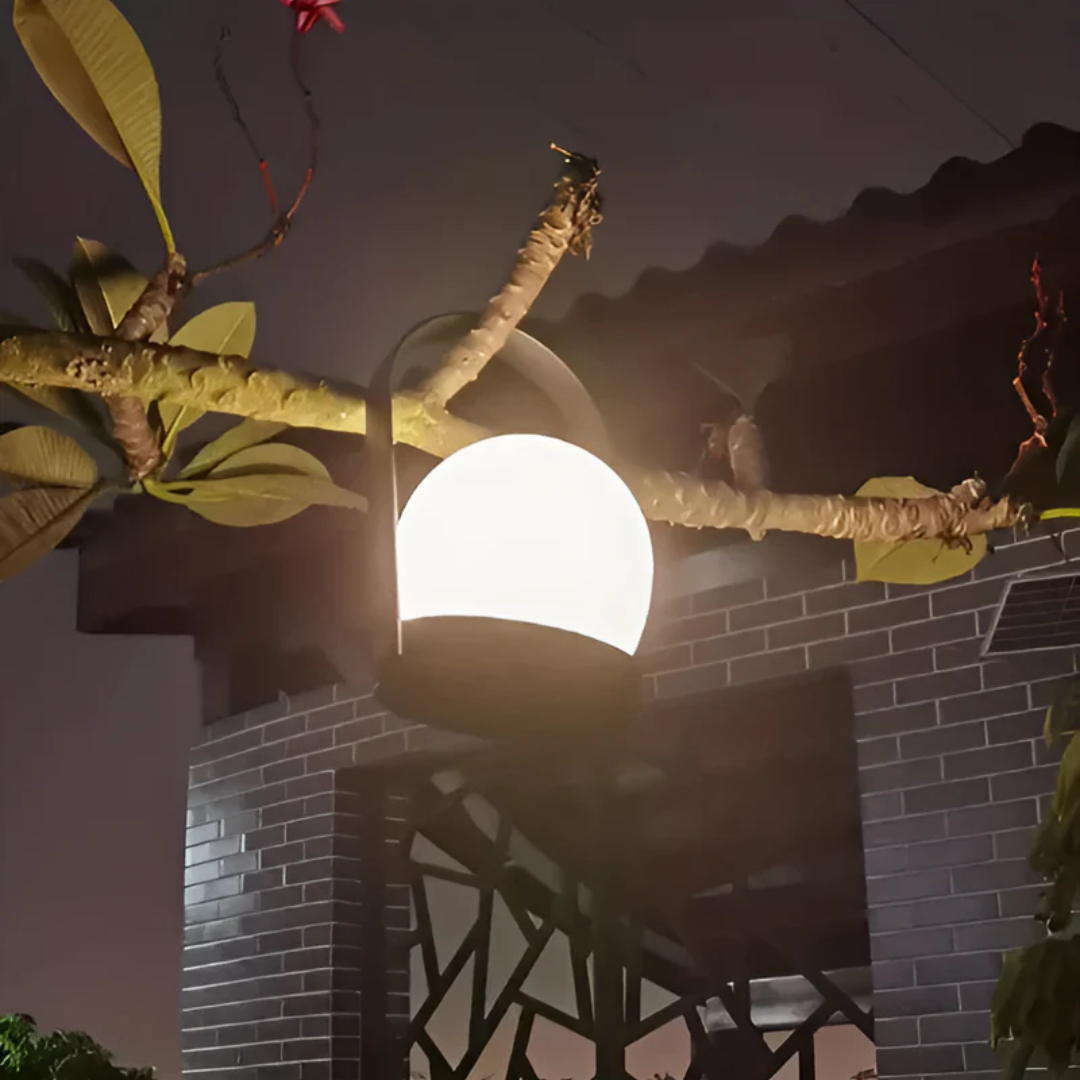 Lampe de Table Sans Fil : Élégance Naturelle en Lumière – Design Moderne 2
