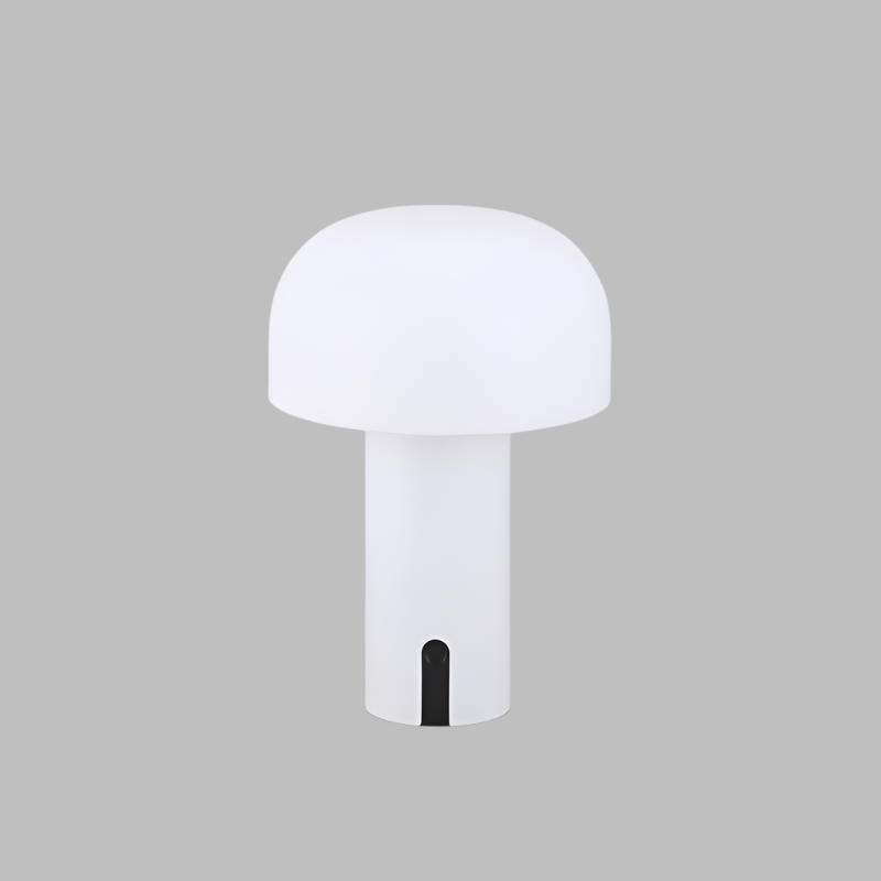 Lampe de Table : Élégance Naturelle en Lumière – Design Moderne 5