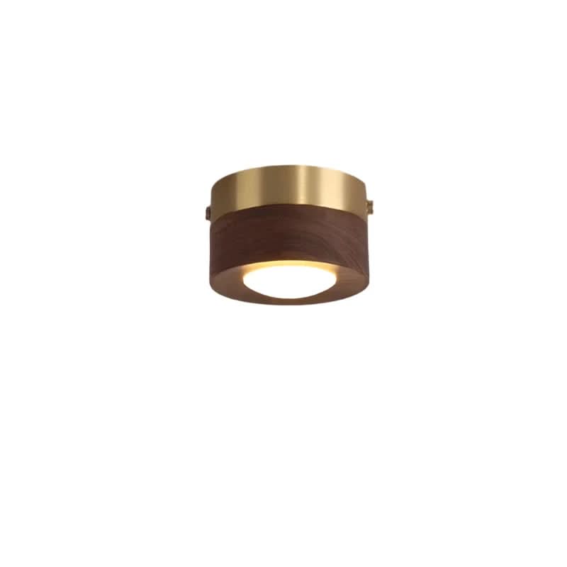 Wooden LED Ceiling Spotlight, Warm or 3-Tone Light