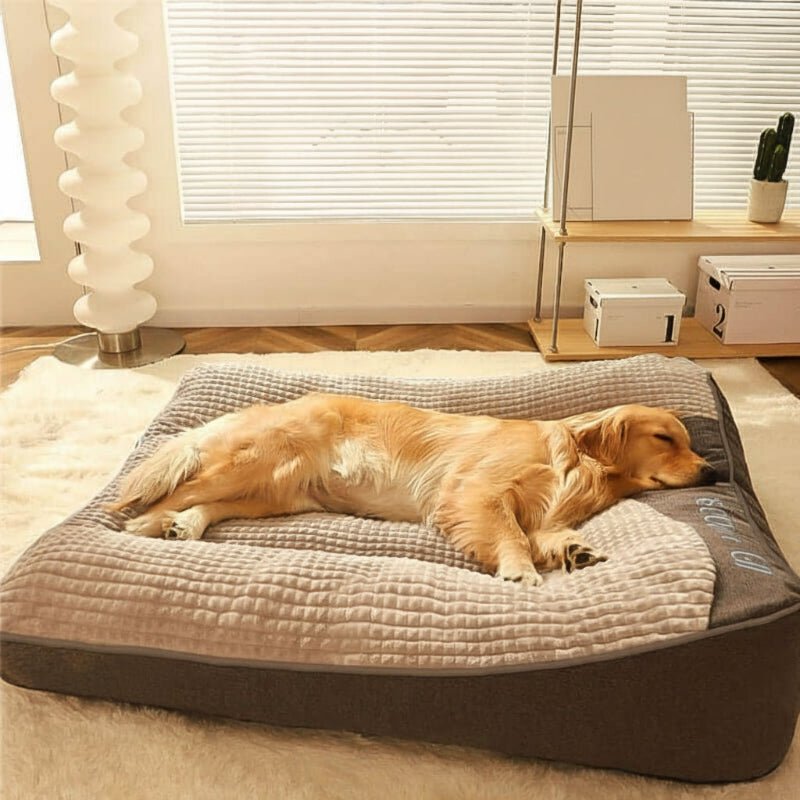 Maison Elmora | Lit Orthopédique pour Chien en Velours Cristal | Confort Élégant pour un Sommeil Sain et Apaisant 1
