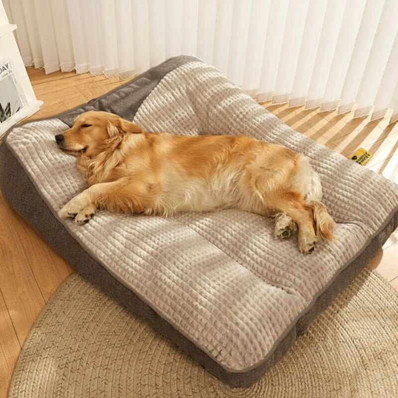 Maison Elmora | Lit Orthopédique pour Chien en Velours Cristal | Confort Élégant pour un Sommeil Sain et Apaisant 2