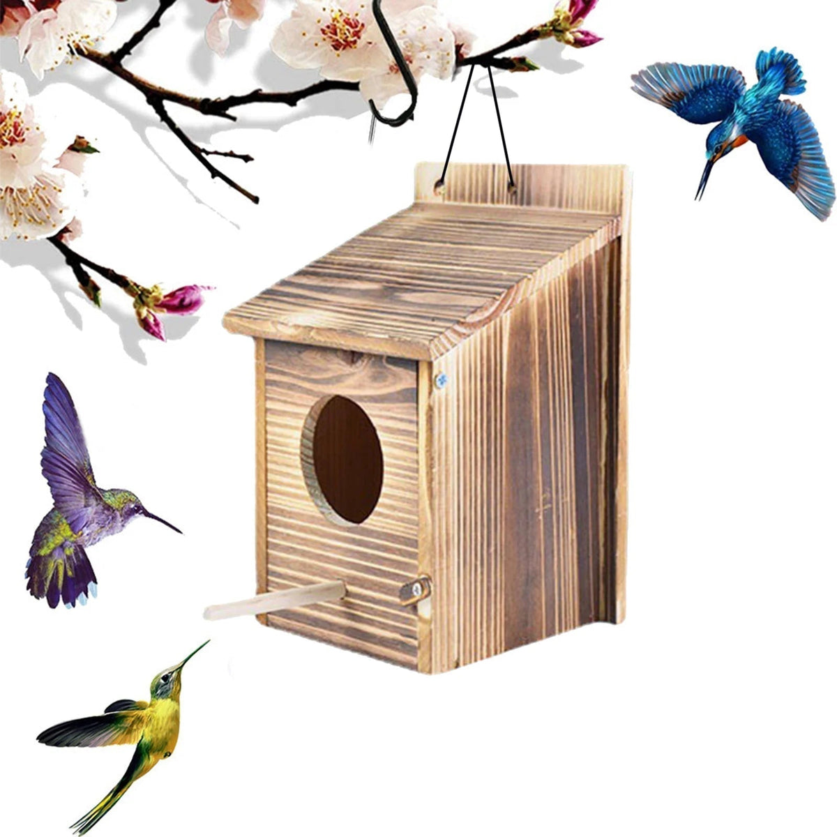 Woodbird - Nichoir en Bois Massif pour Oiseaux du Jardin