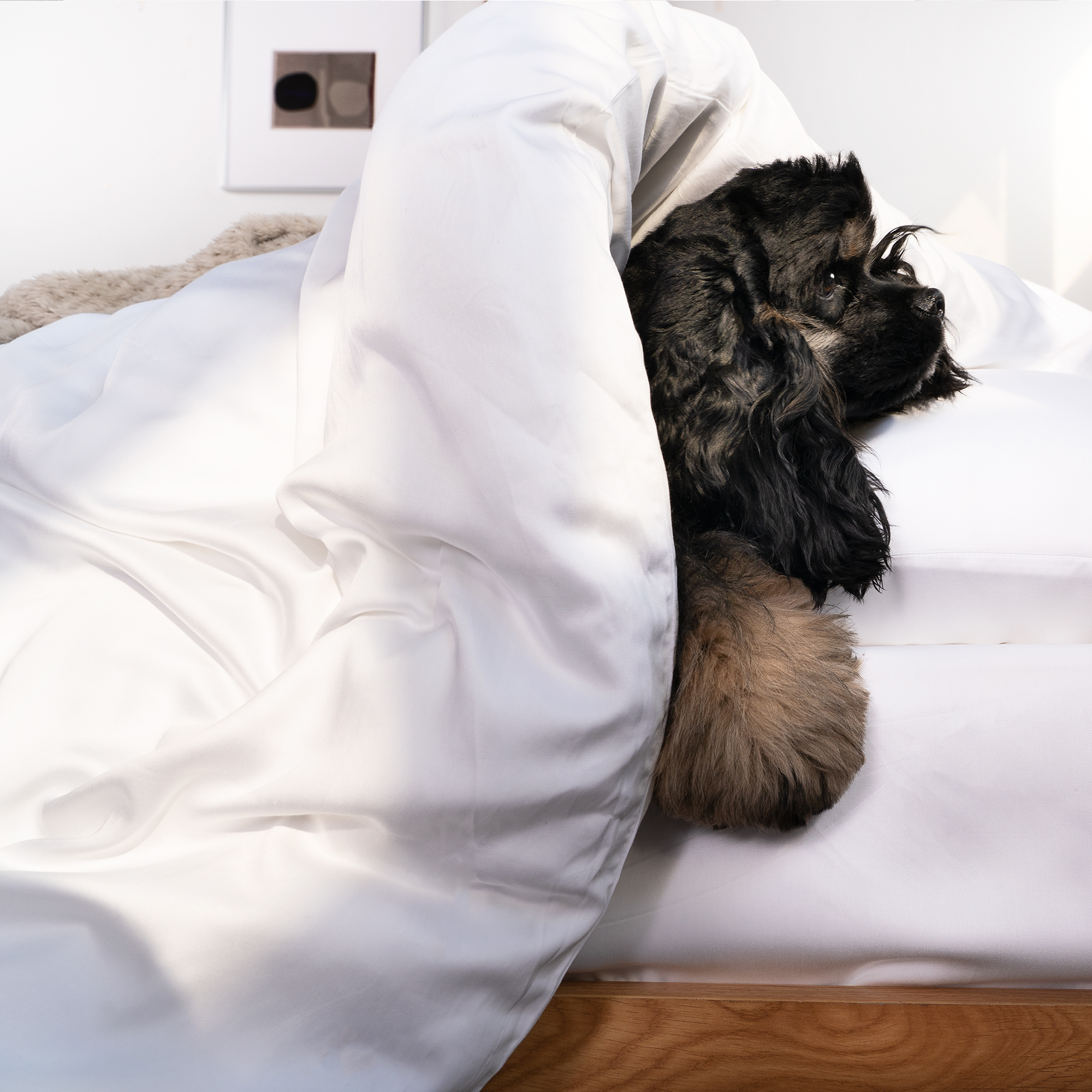 Housse de Couette Viscose Bambou - Fraîche et Anti-Poils