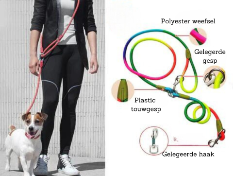 Freelead Laisse Mains Libres pour Chien