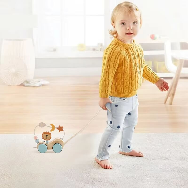 Wooden Lion Pull-Along Toy, from 6 Months