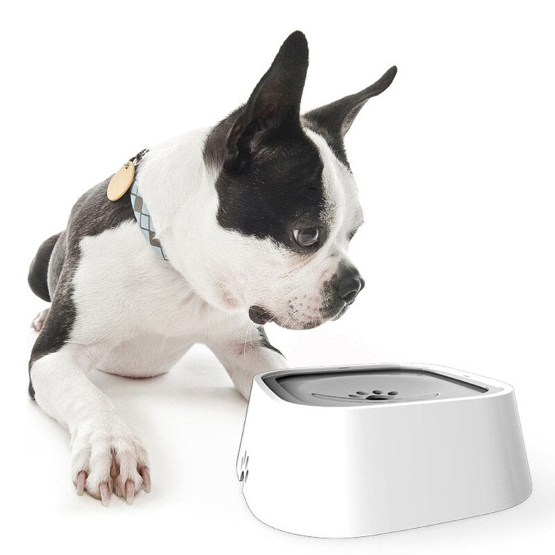 Spillguard Gamelle Anti-Débordement pour Chien