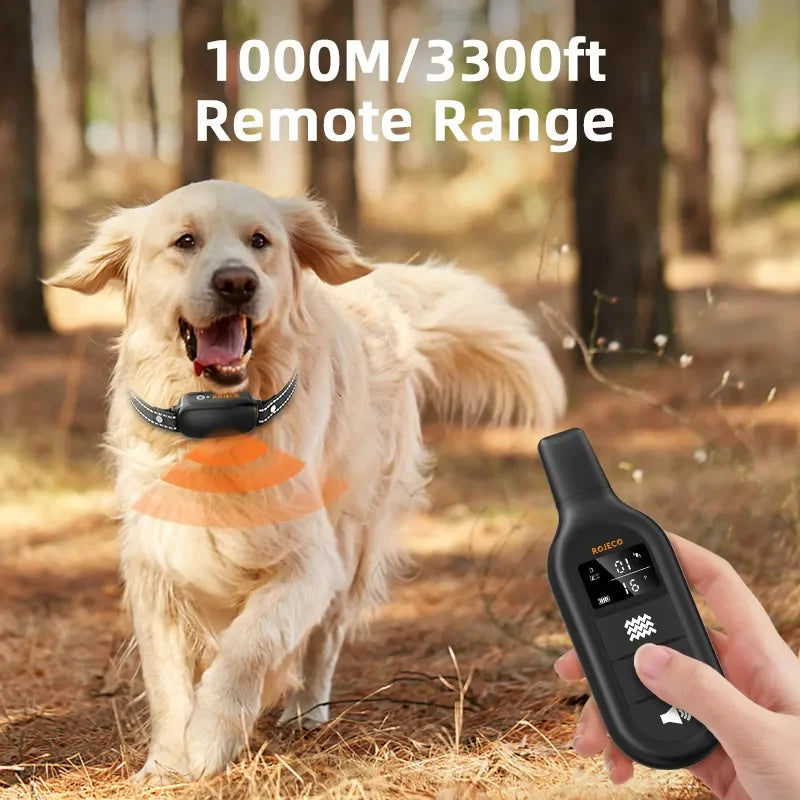 Collier de Dressage Rechargeable Étanche avec Télécommande