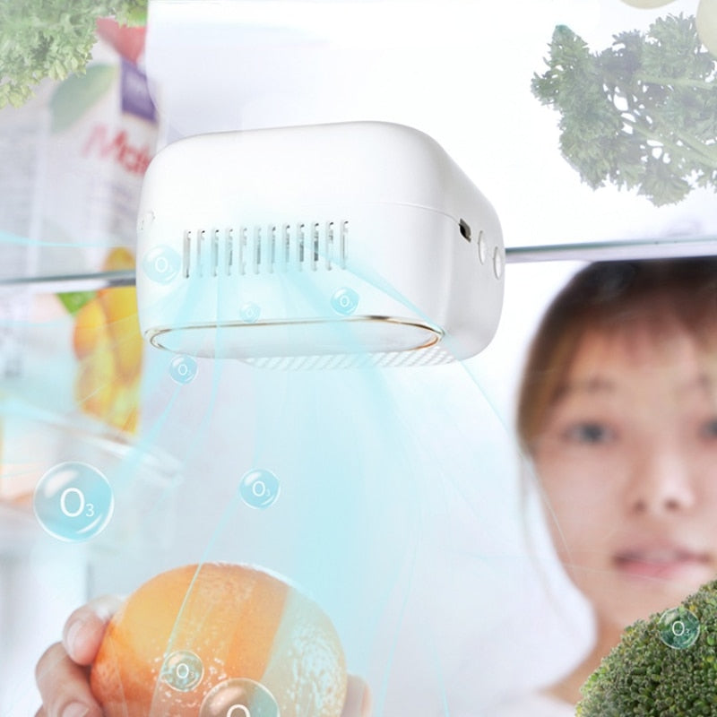 FreshBreeze - Désodorisant pour Réfrigérateur