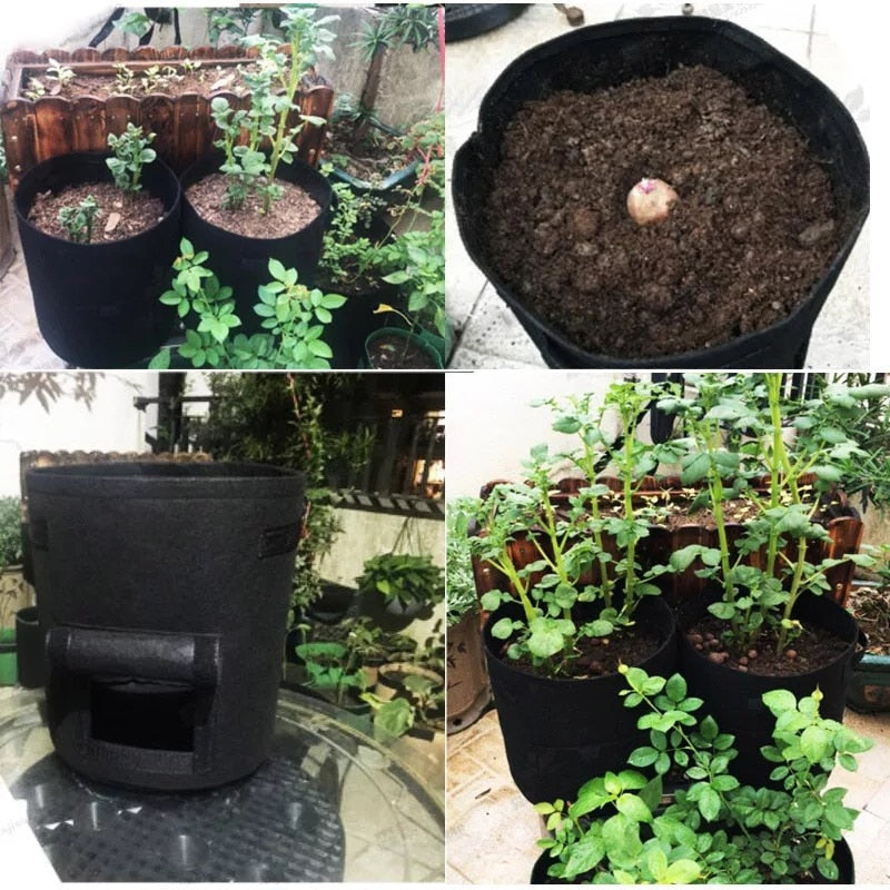 GrowMaster Pots - Pot de Culture pour Légumes Frais