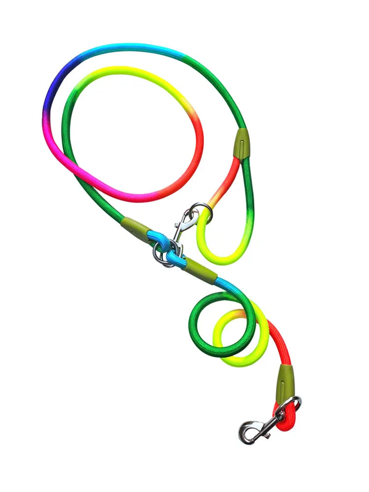 Freelead Laisse Mains Libres pour Chien