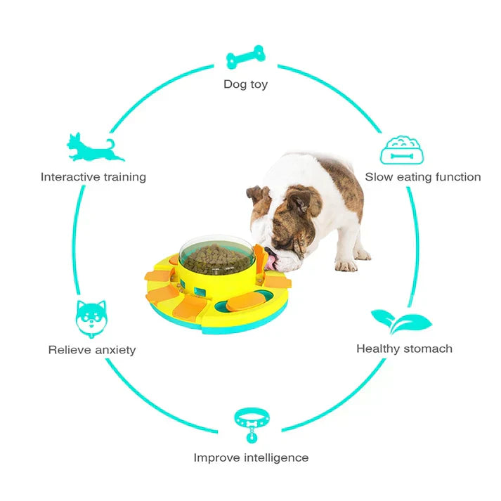 Feedmaze Interactive Slow Feeder Bowl