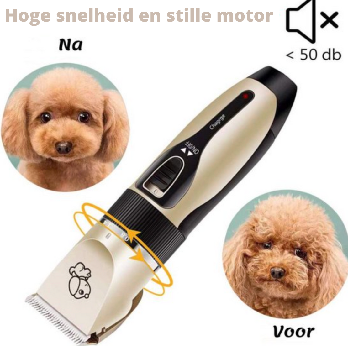 Pett Groomer - Tondeuse et Brosse de Toilettage Chien