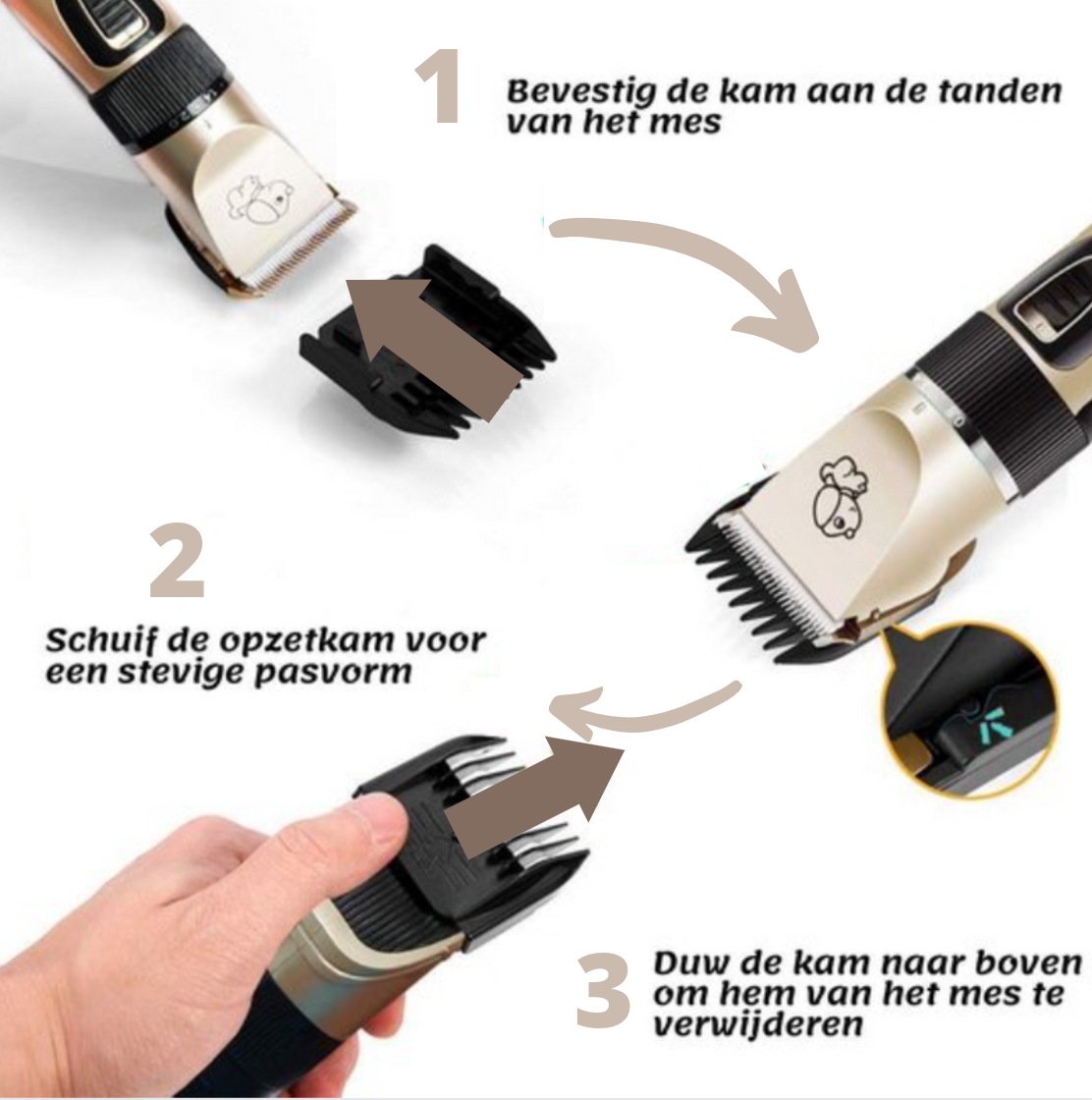 Pett Groomer - Tondeuse et Brosse de Toilettage Chien
