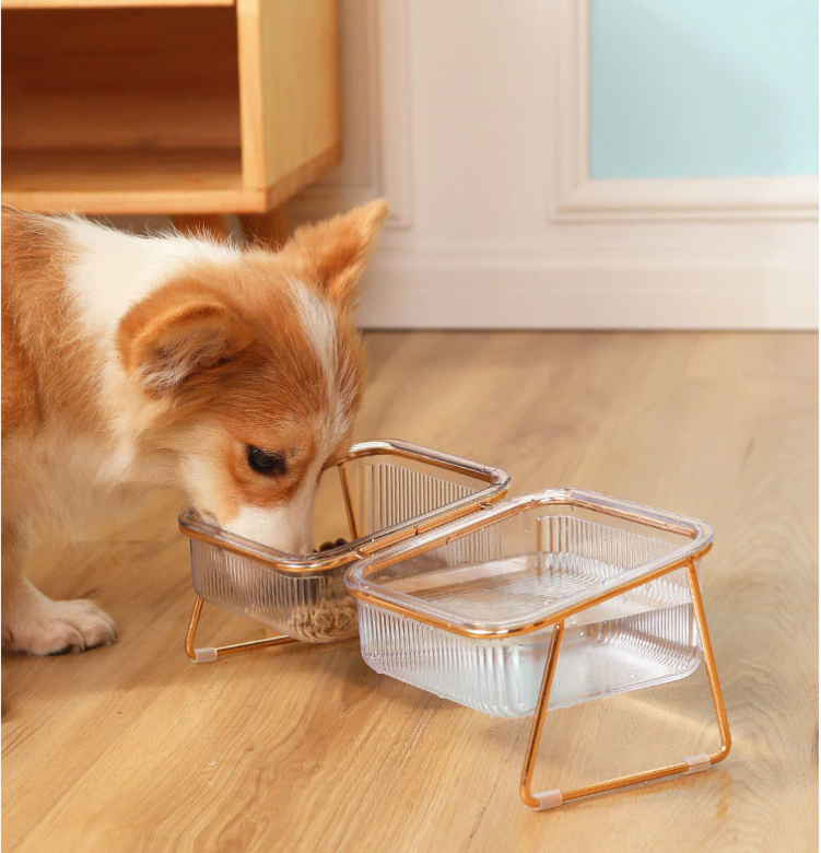 PetChic - Gamelle Surélevée pour Chat et Chien