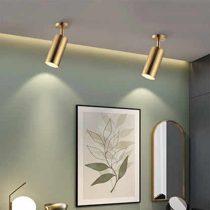 Spot Lumineux Plafond : Élégance Naturelle en Lumière – Laiton Doré 2