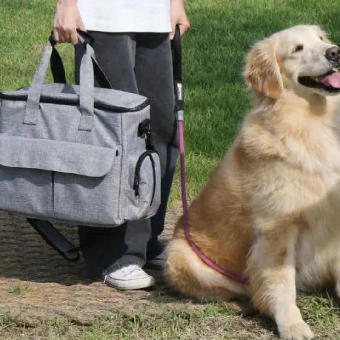 OutdoorPaw Bag - Sac à Dos d'Aventure pour Chien