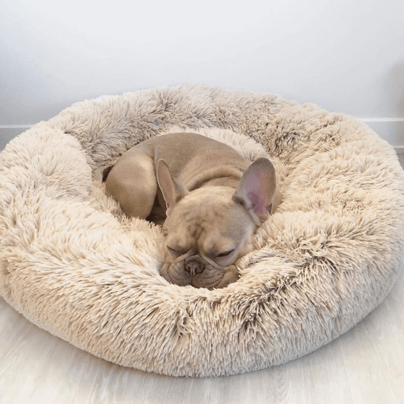 Coussin pour chien en peluche, housse lavable