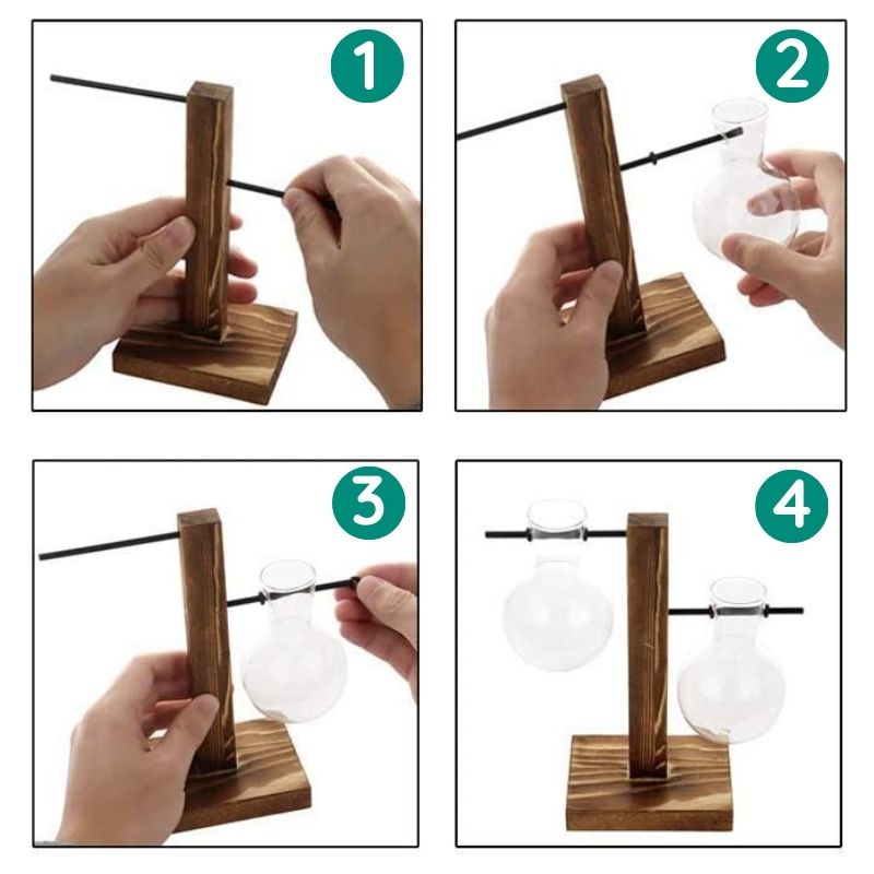 Vase hydroponique en verre sur support en bois