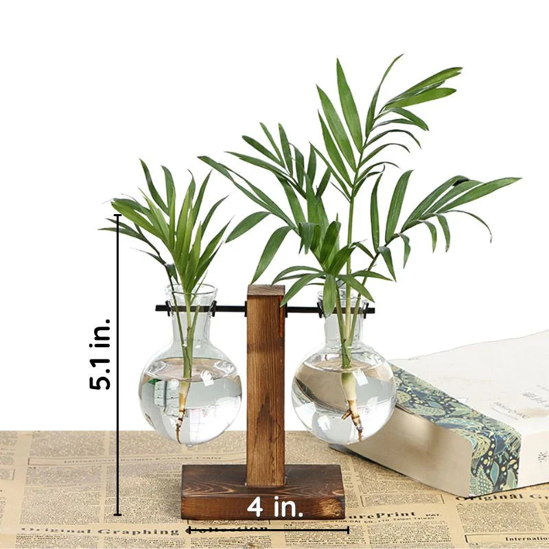 Vase hydroponique en verre sur support en bois