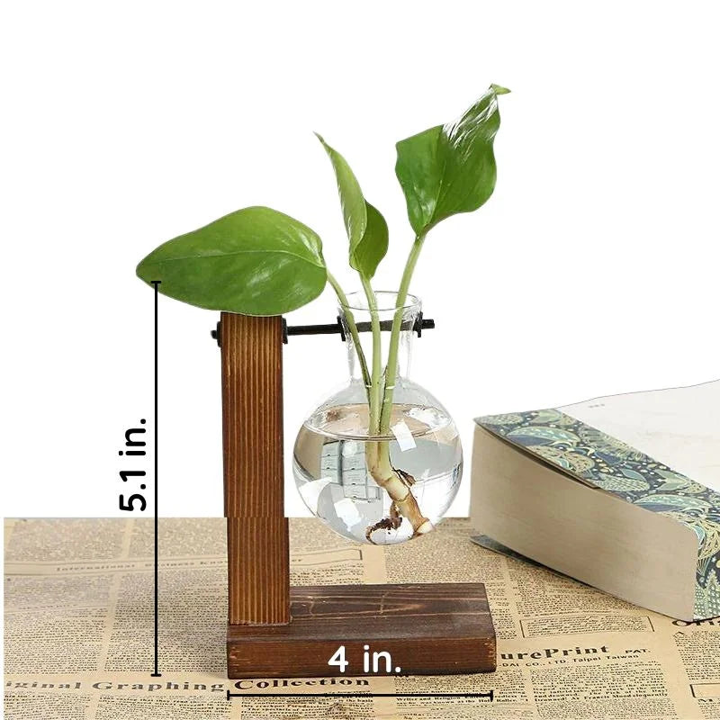 Vase hydroponique en verre sur support en bois