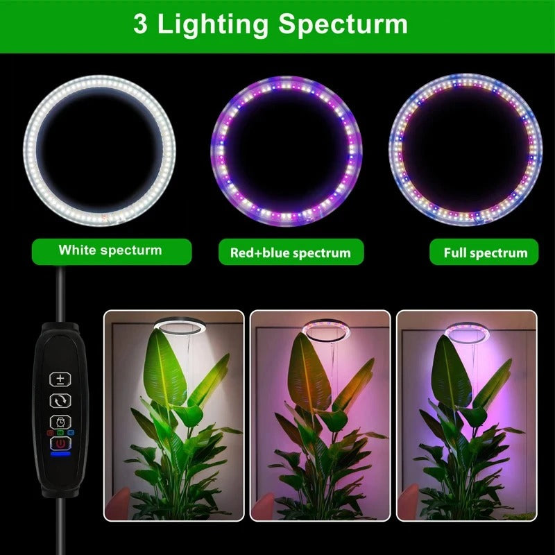 Indoor Plant Grow Light