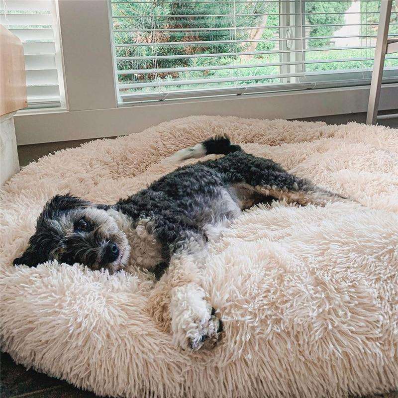 Coussin pour chien en peluche, housse lavable