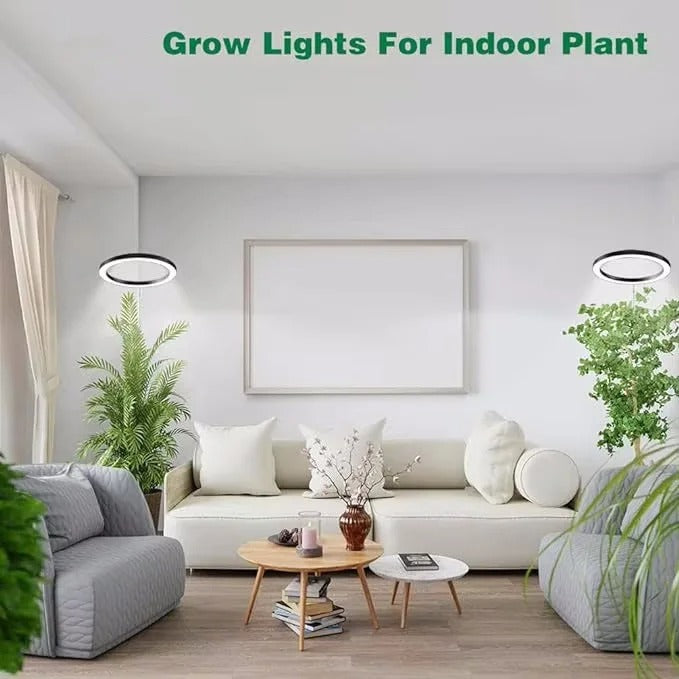 Indoor Plant Grow Light