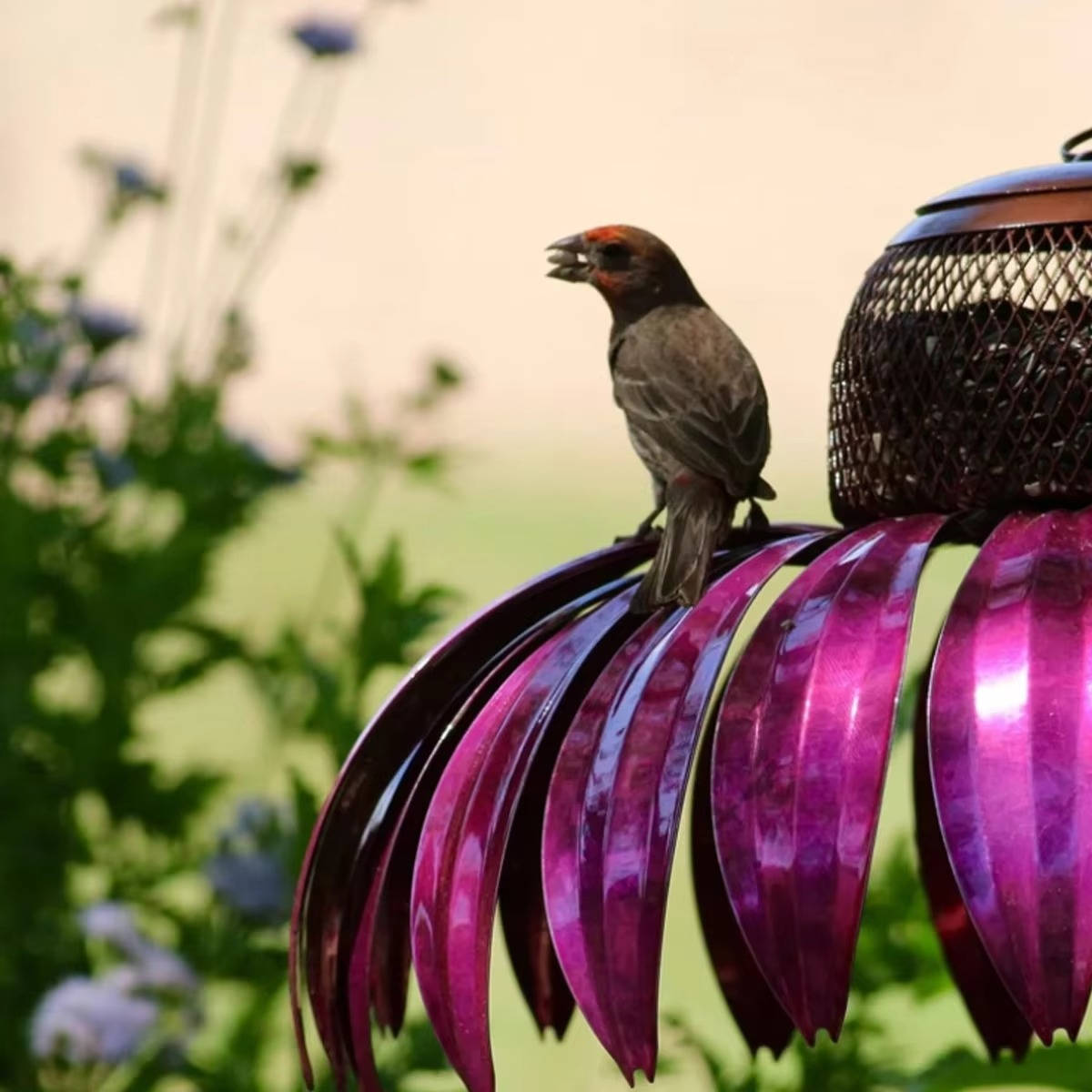Mangeoire à Oiseaux Fleurie d'Extérieur